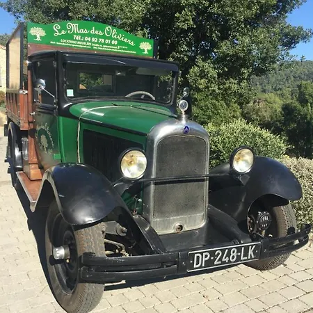 Des Oliviers Gréoux-les-Bains