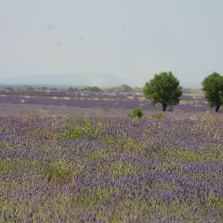 Des Oliviers Appartement Gréoux-les-Bains